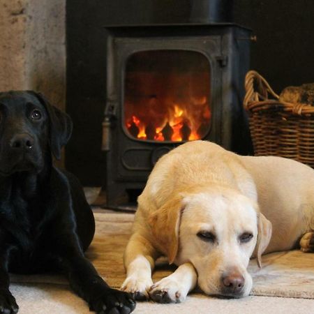 Cardross Holiday Cottages Arnprior Exteriér fotografie