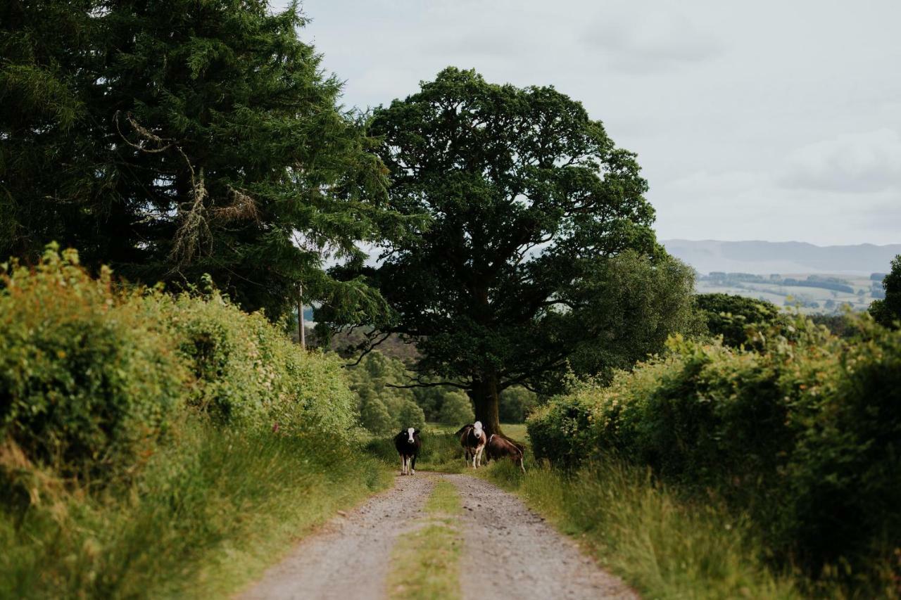 Cardross Holiday Cottages Arnprior Exteriér fotografie