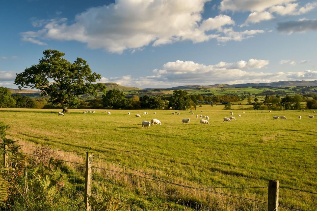 Cardross Holiday Cottages Arnprior Exteriér fotografie